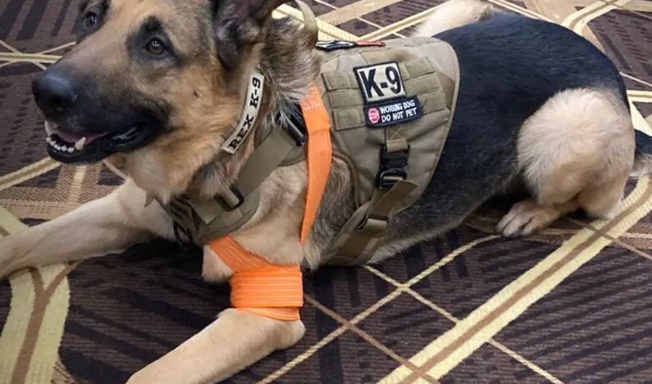 Slishman Pressure Wrap image 1